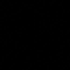 Meet your Posher, Mynk